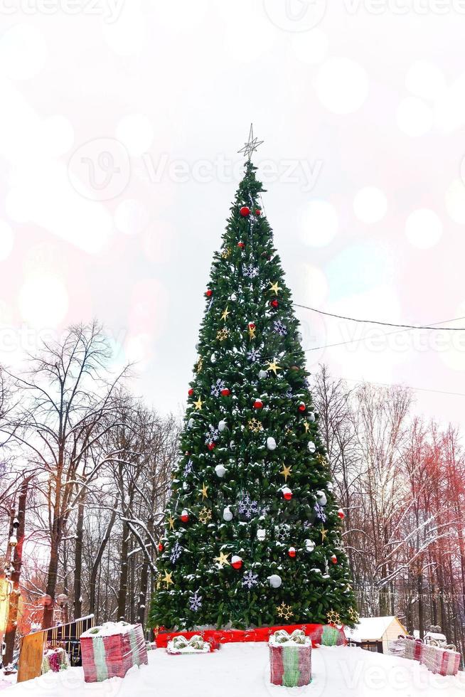 arbol de navidad en el parque foto