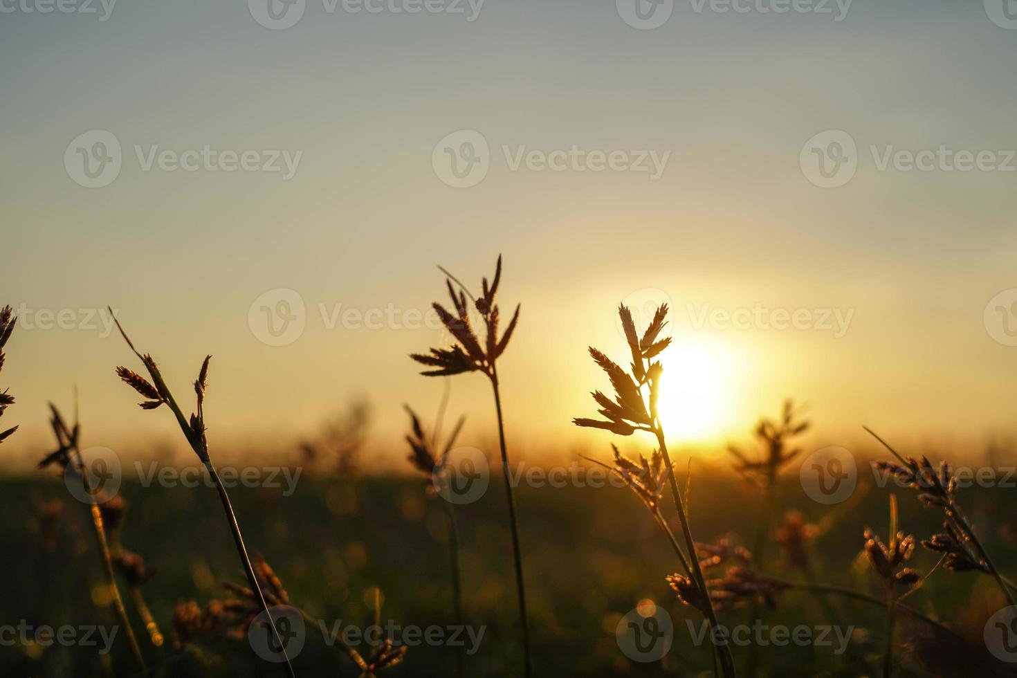 golden time sunset on summer holiday background on sunset photo