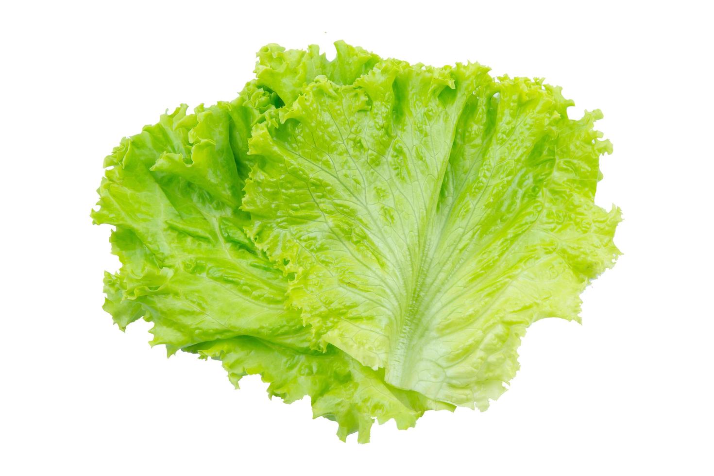 Lettuce. Salad leaf isolated on white background with clipping path photo