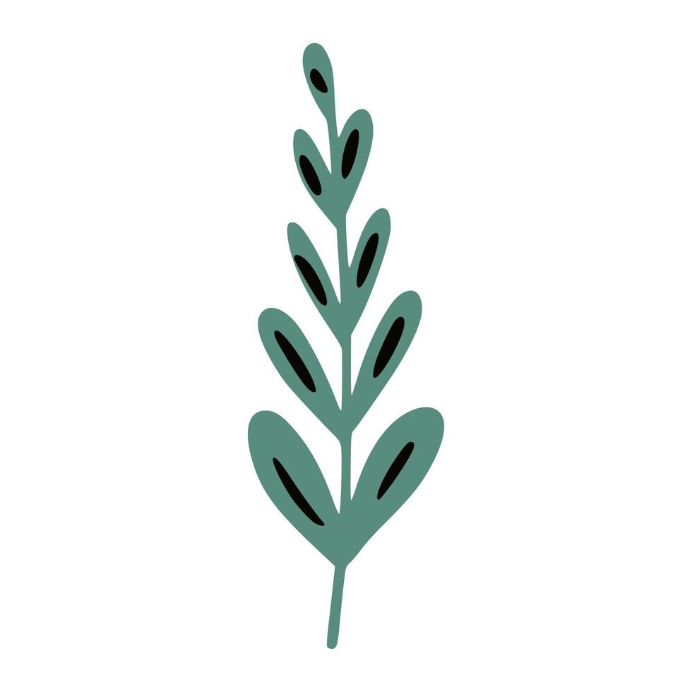 Hand drawn branch with leaves vector