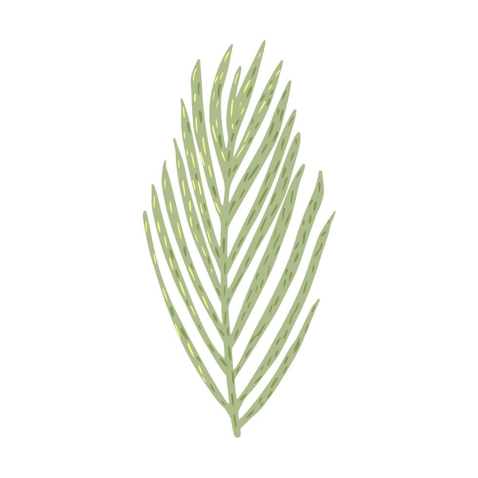 Palm isolated on white background. Abstract tropical leaf green color in doodle style. vector