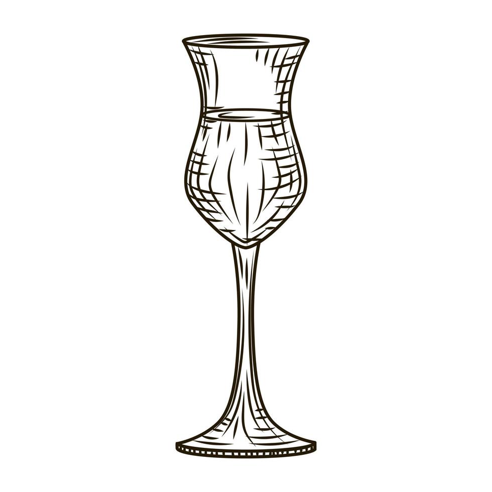 estilo grabado de pisco de vidrio completo aislado sobre fondo blanco. boceto vintage contorno negro de cerca. vector