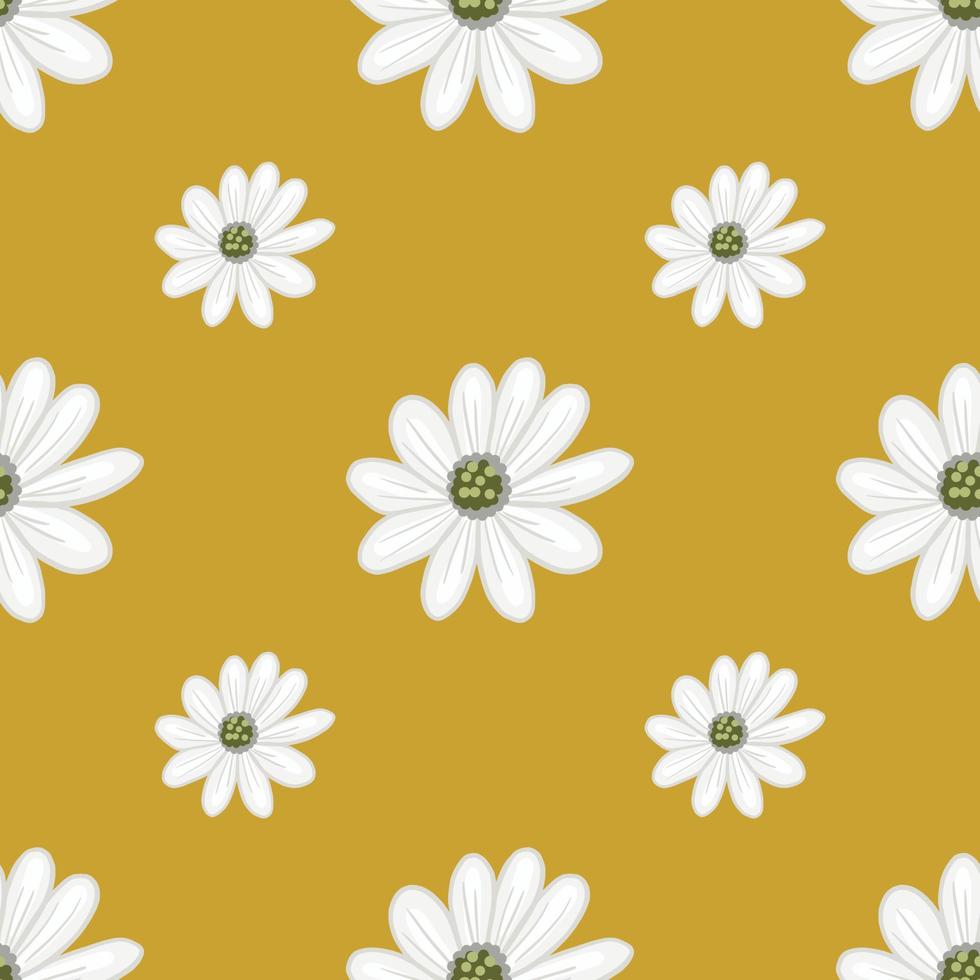 Daisies, white flowers with yellow centers, create a spring or summer  background with room for 27099842 Stock Photo at Vecteezy