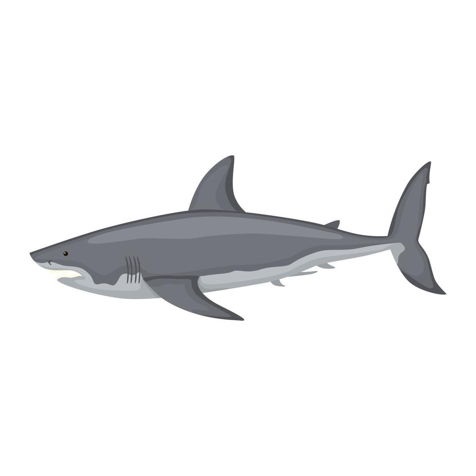 White shark isolated on white background. Cartoon character of ocean for children. vector