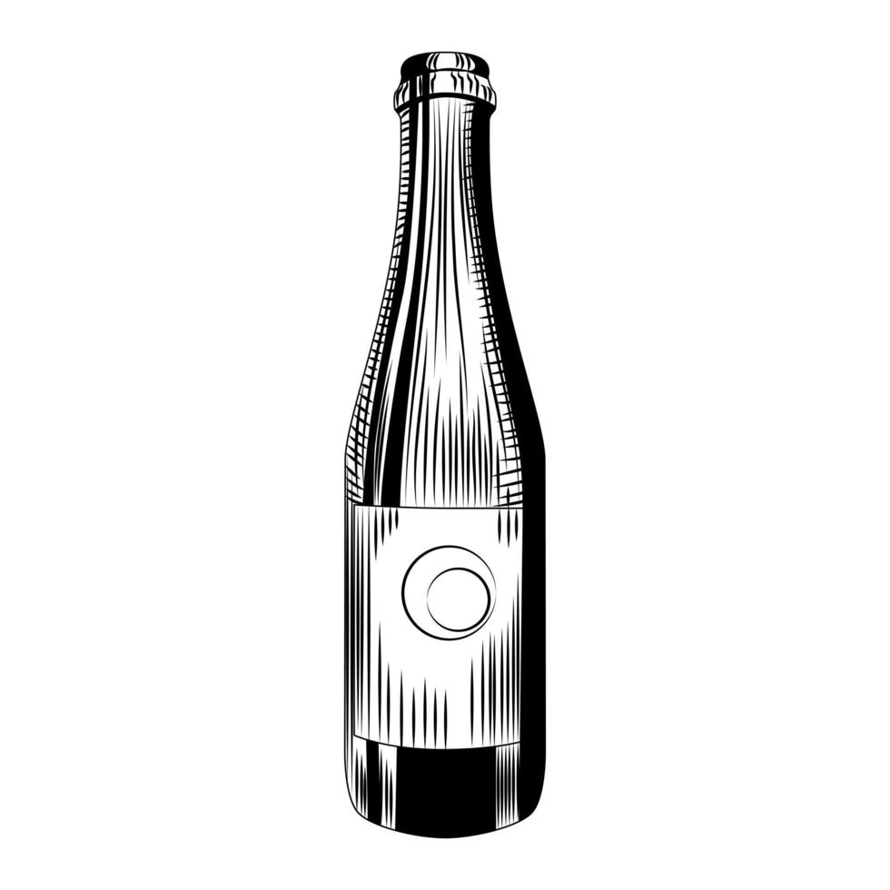 plantilla de botella de cerveza artesanal. botella de sidra dibujada a mano aislada sobre fondo blanco. vector