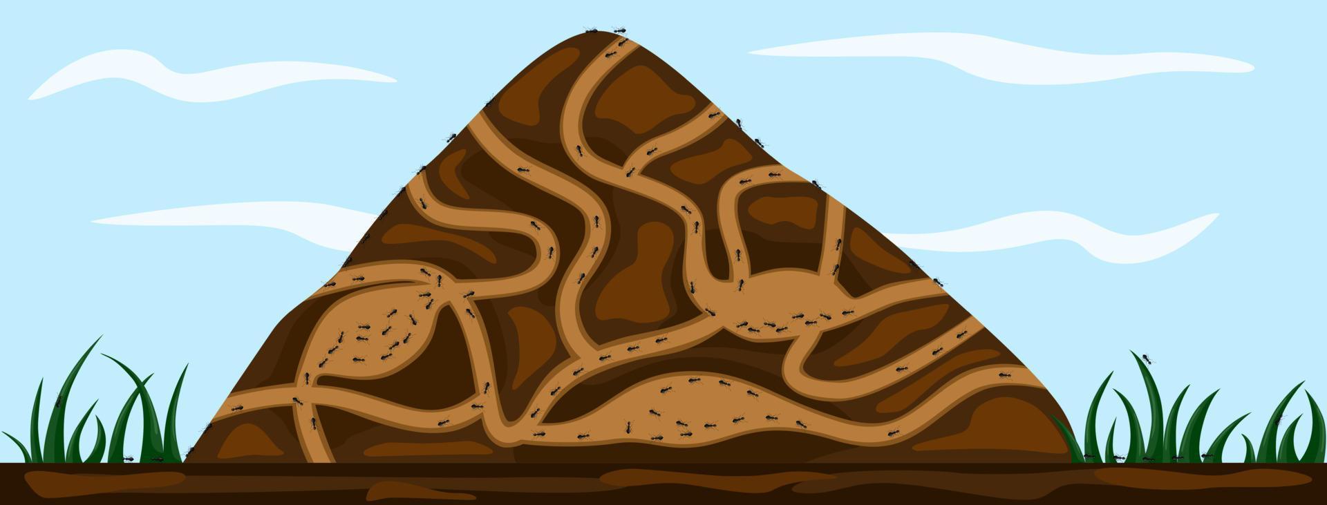 Ant family moving in tunnels anthill. Home of insects which life into hill. Vector cartoon close-up illustration.