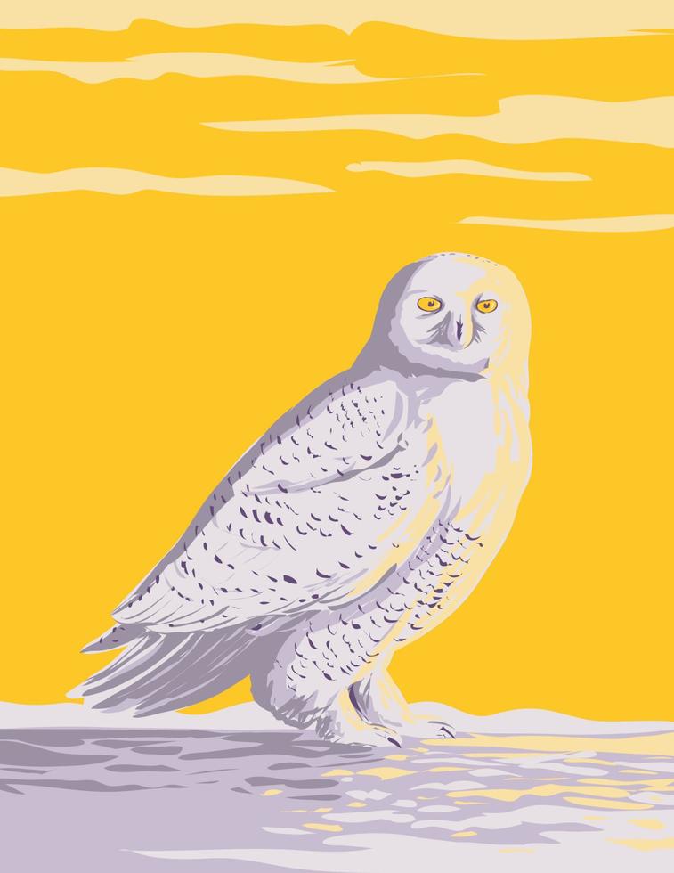 Snowy Owl Polar Owl,white Owl or Arctic Owl in the Tundra of the Arctic Regions of North America WPA Poster Art vector