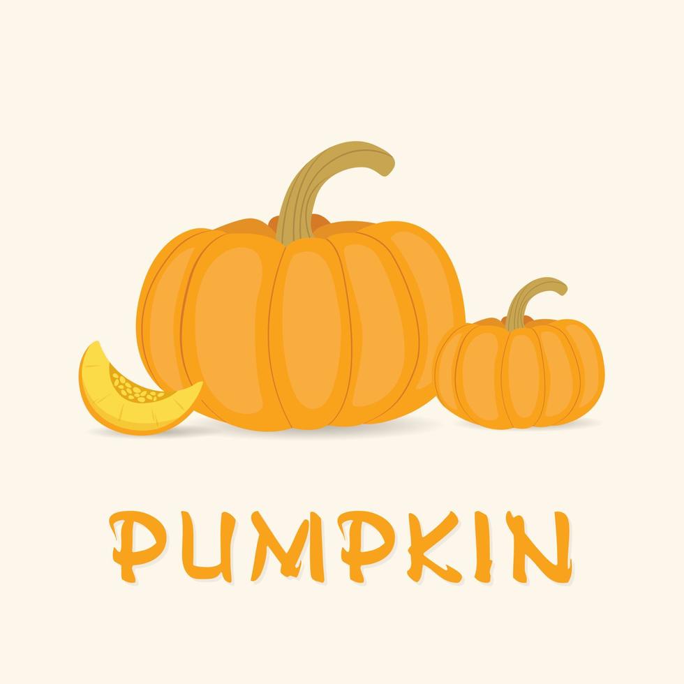 Drawing cartoon pumpkin Vector. pumpkin fruit icon concept isolated. pumpkin fruit cartoon icon vector illustration.