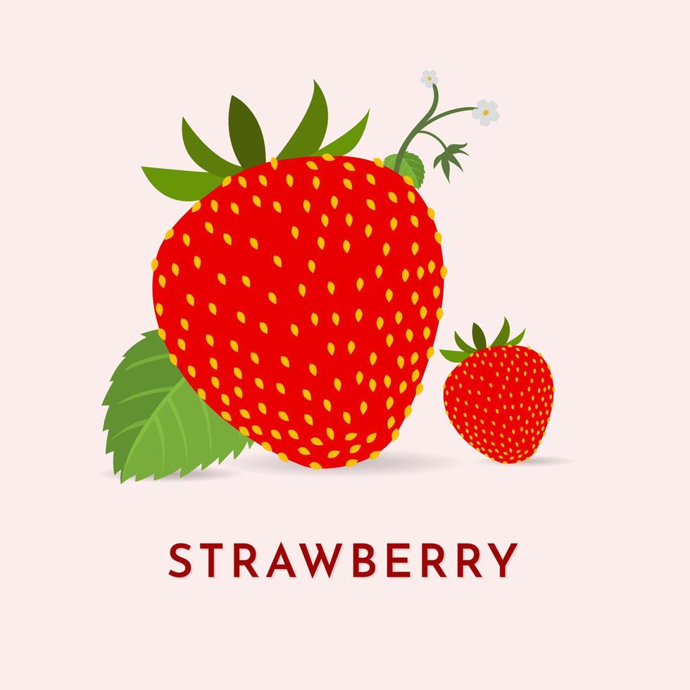 vector de ilustración de fruta de fresa dibujada a mano. concepto de icono de fruta de fresa aislado. ilustración de vector de icono de dibujos animados de fruta de fresa.