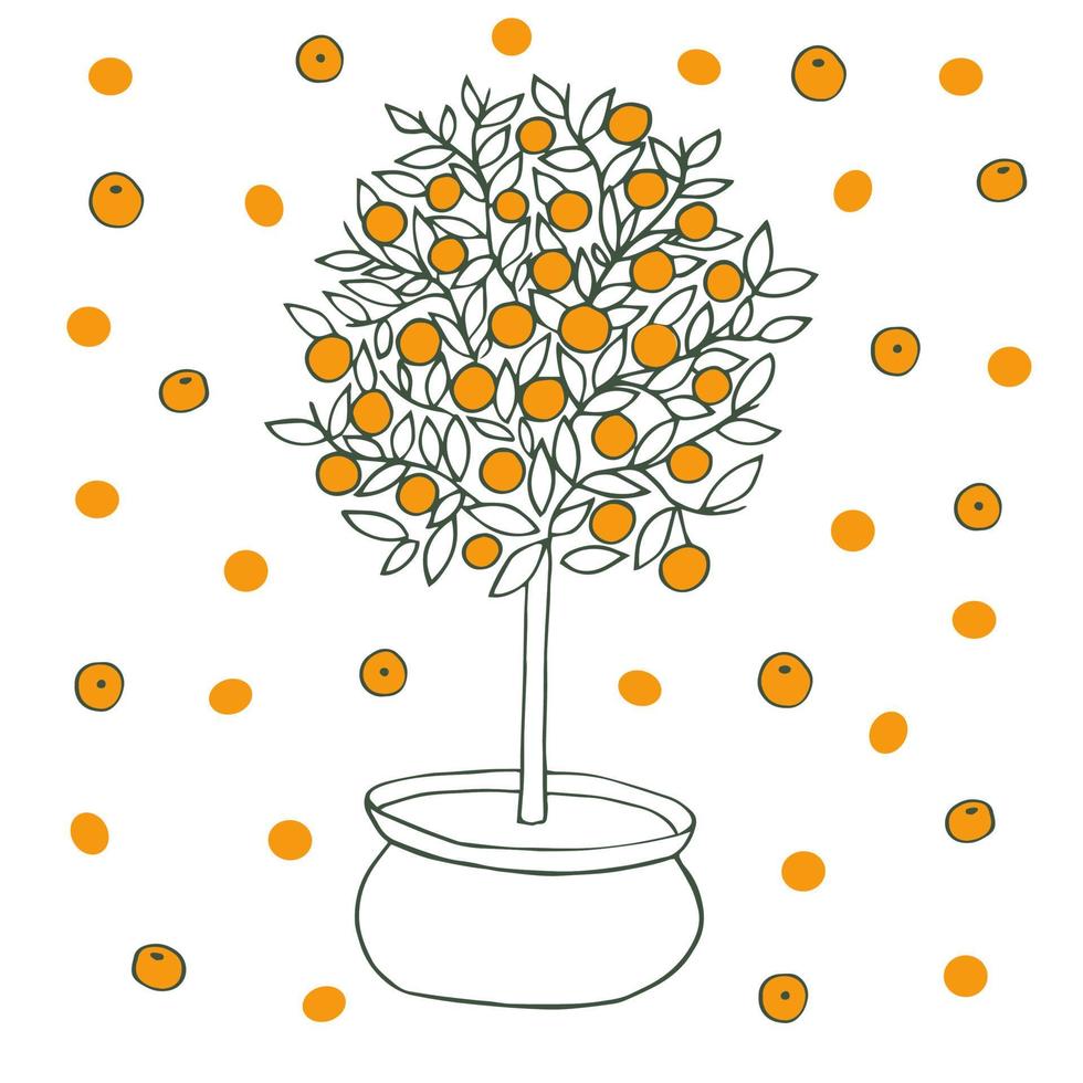 Mandarin tree, tangerine tree, Citrus reticulata, mandarin orange, robson with fruits vector