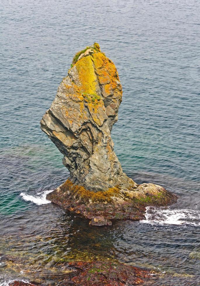 Unique Sea Stack on the Ocean Coast photo