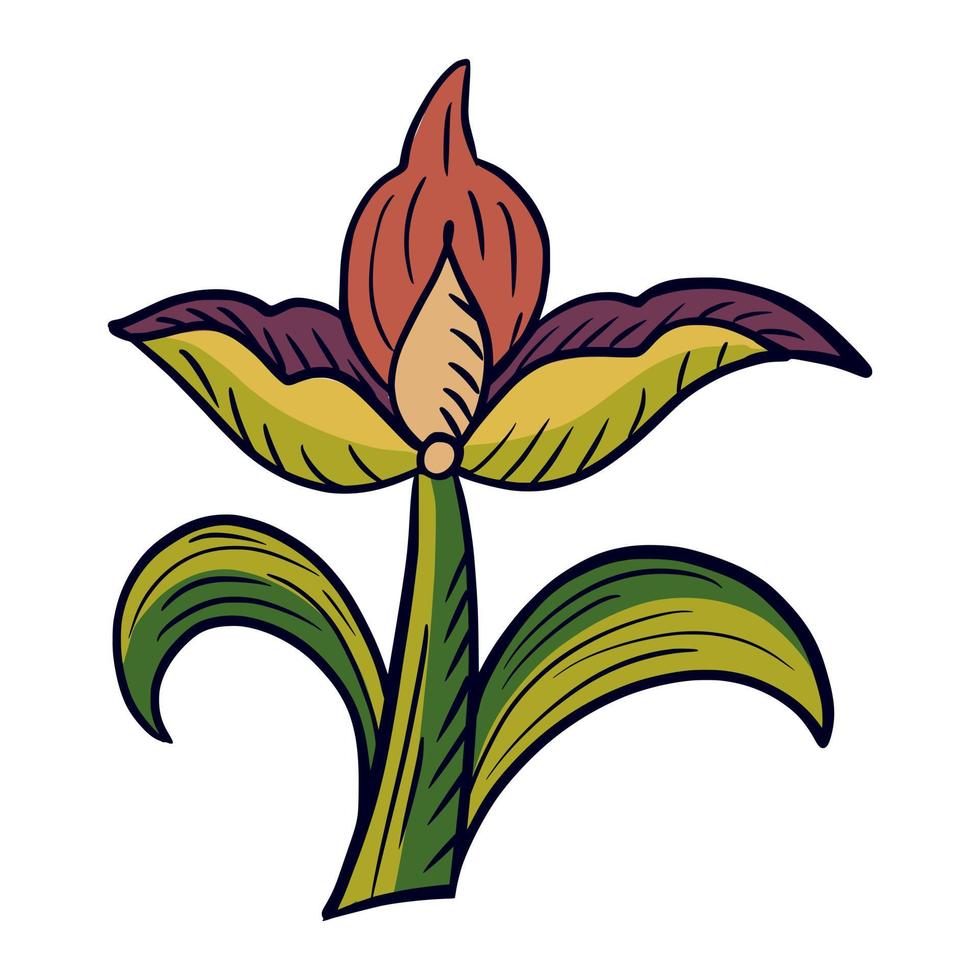 folclore de tulipán aislado sobre fondo blanco. flor de primavera colorida étnica. vector