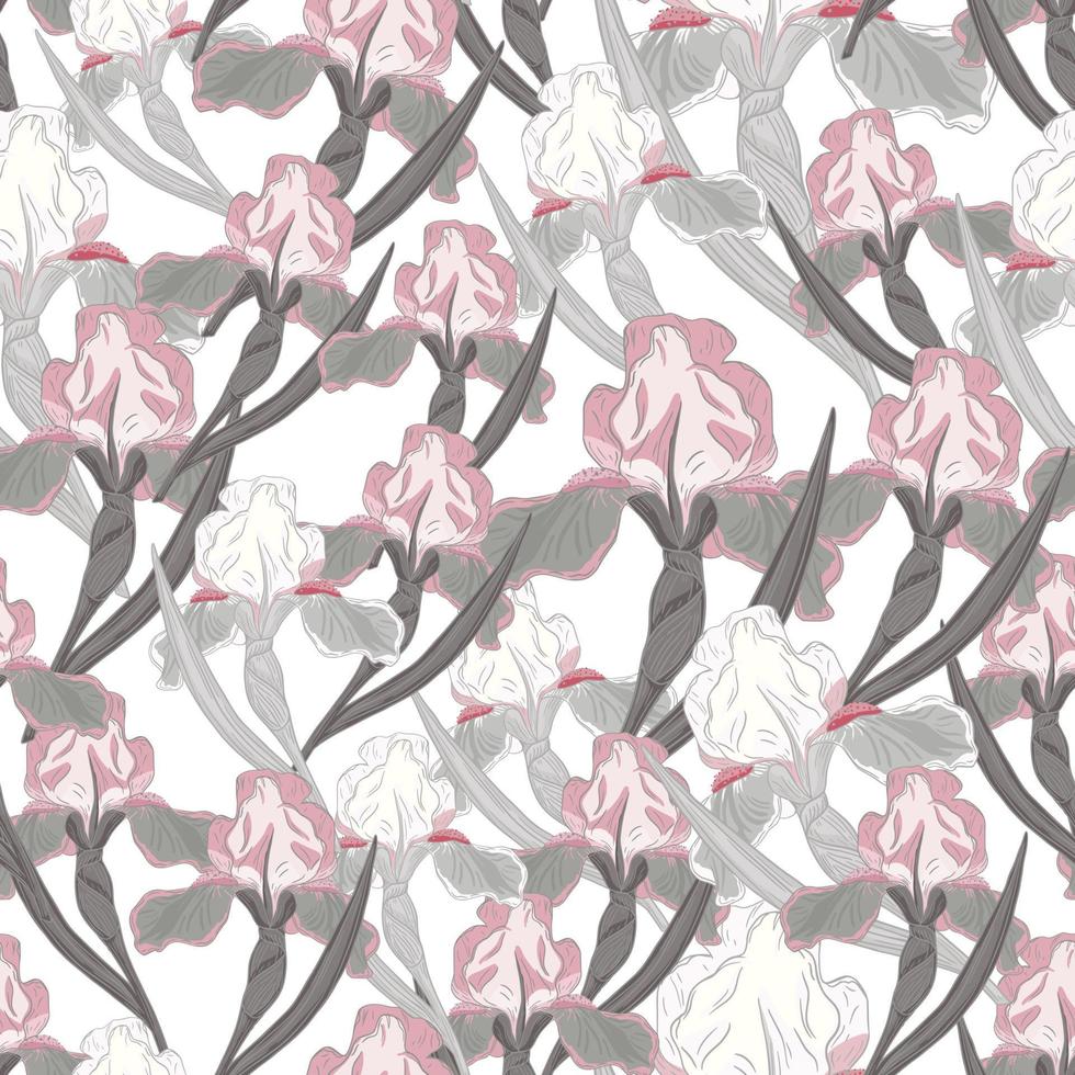 naturaleza decorativa de patrones sin fisuras con estampado de ramas de flores de iris de color gris y rosa. ilustraciones aisladas. 5588146 Vector en Vecteezy naturaleza decorativa de patrones sin fisuras con estampado de ramas de flores de iris de color gris y rosa. ilustraciones aisladas. 5588146 Vector en Vecteezy