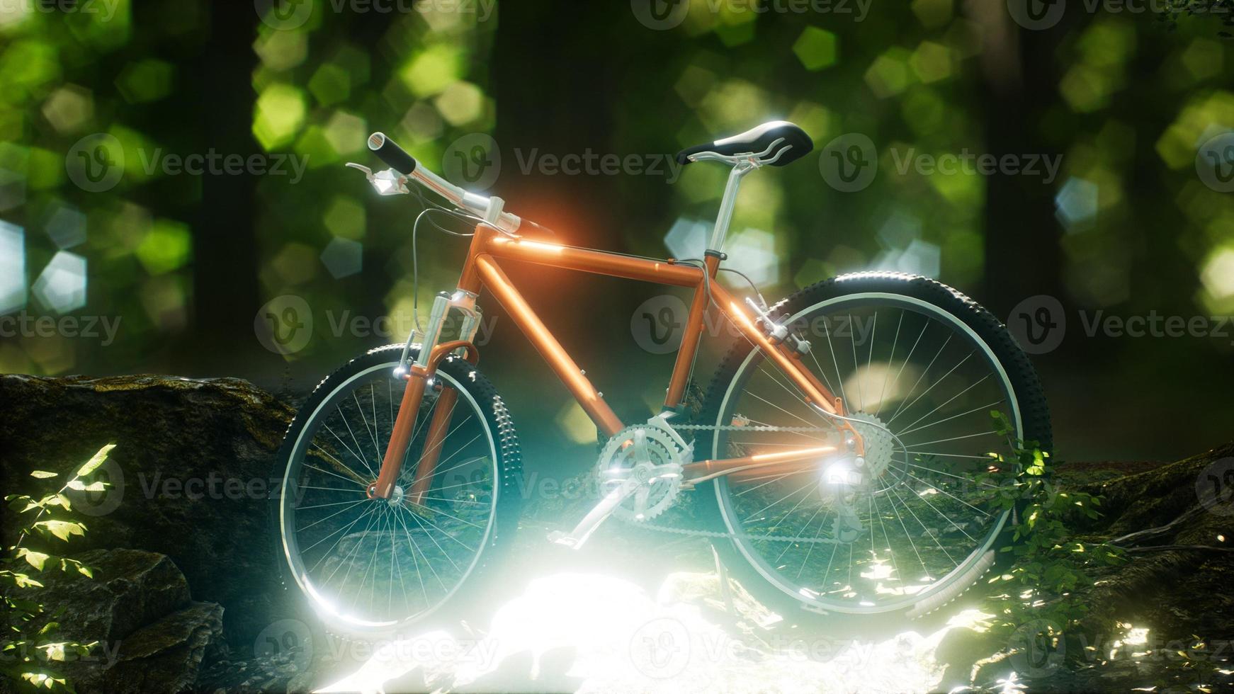 Mountain bike on the forest path photo