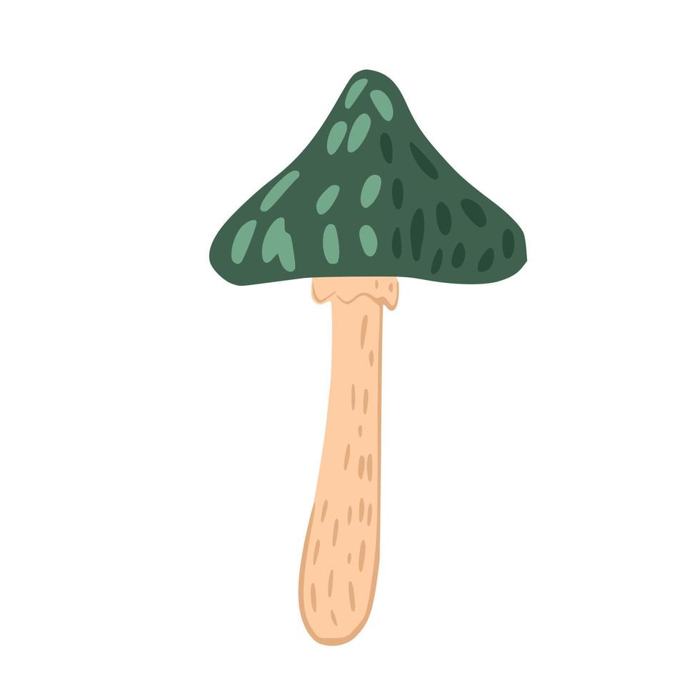 Toadstool isolated on white background. Abstract mushroom sketch hand drawn. vector