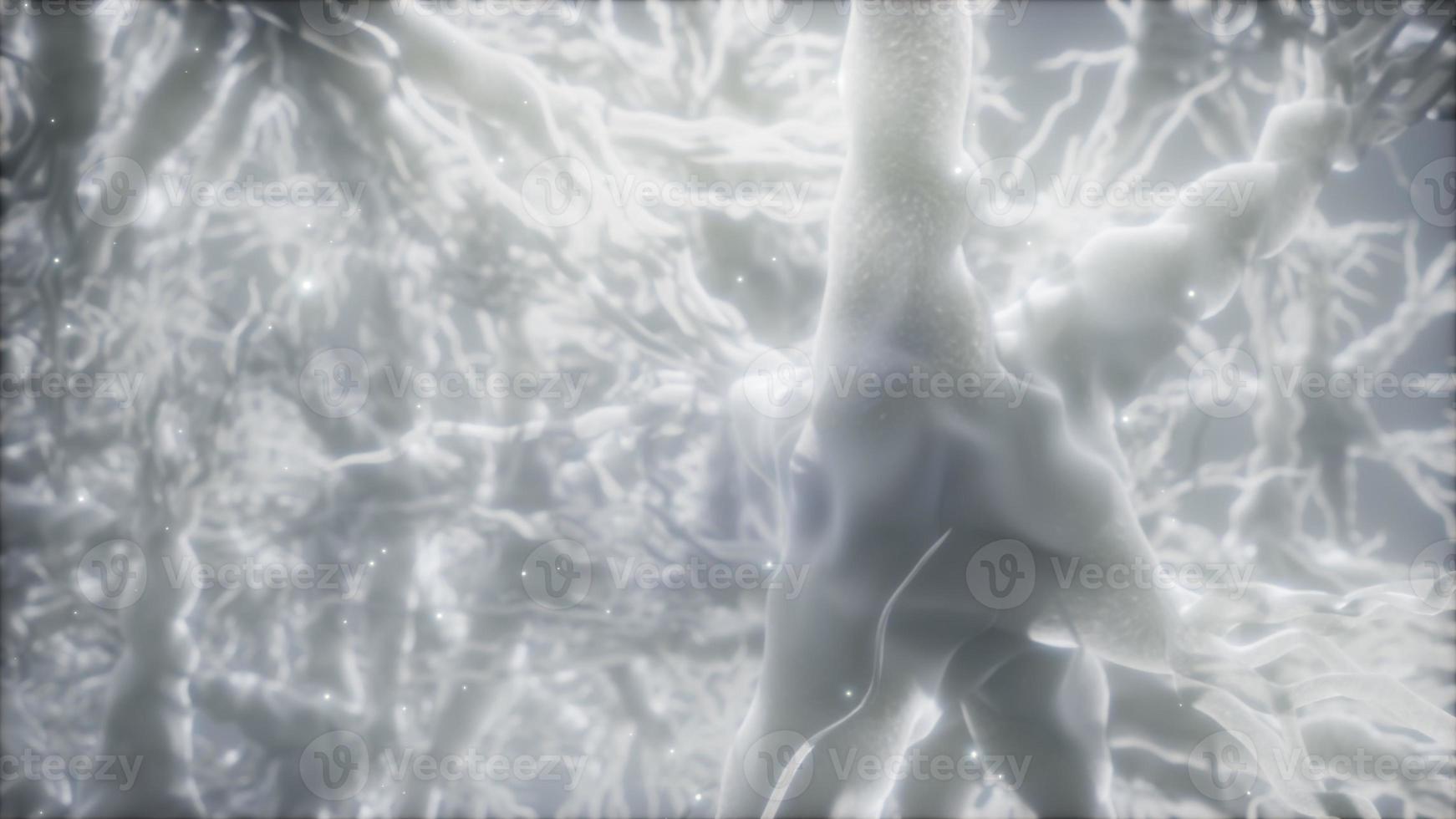 Journey through a neuron cell network inside the brain photo