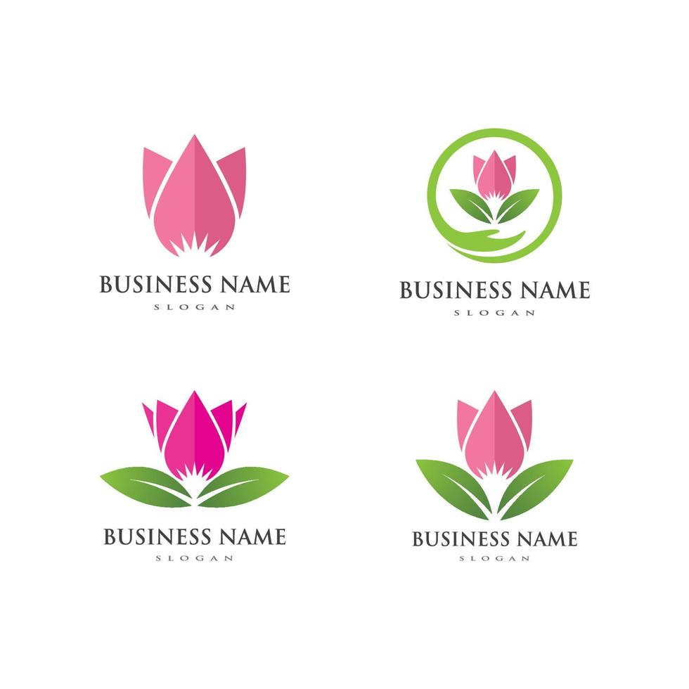 Lotus flowers illustration vector