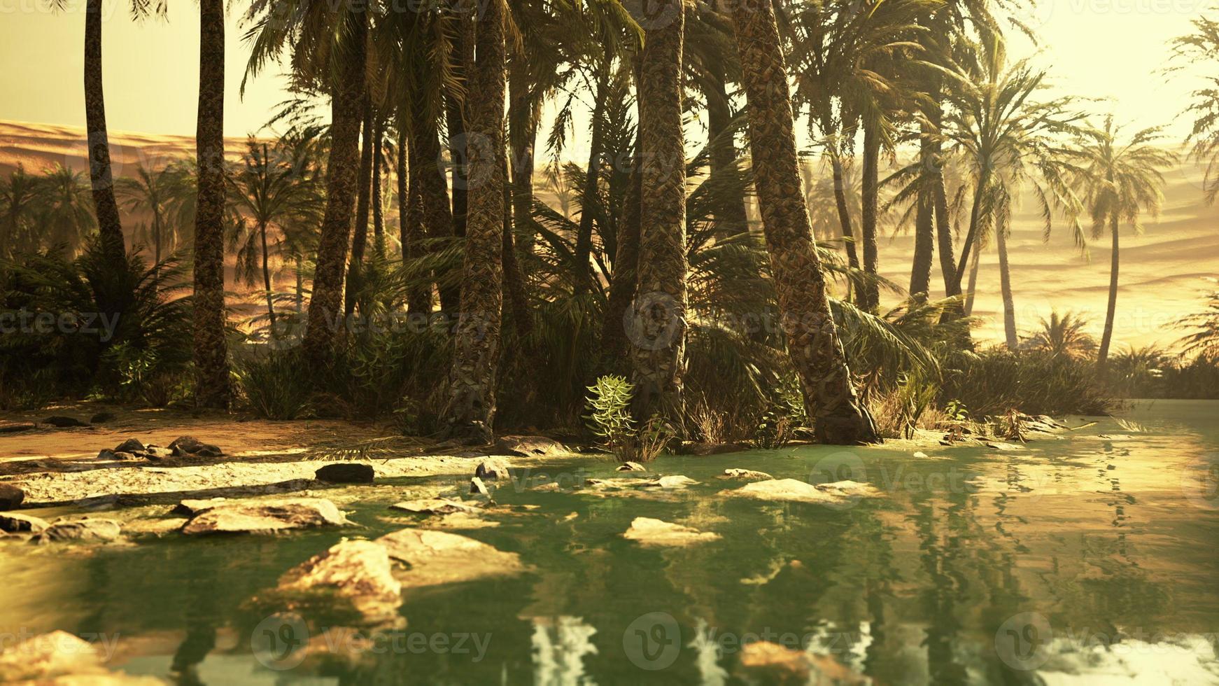 oasis in the middle of the desert with a lot of trees photo