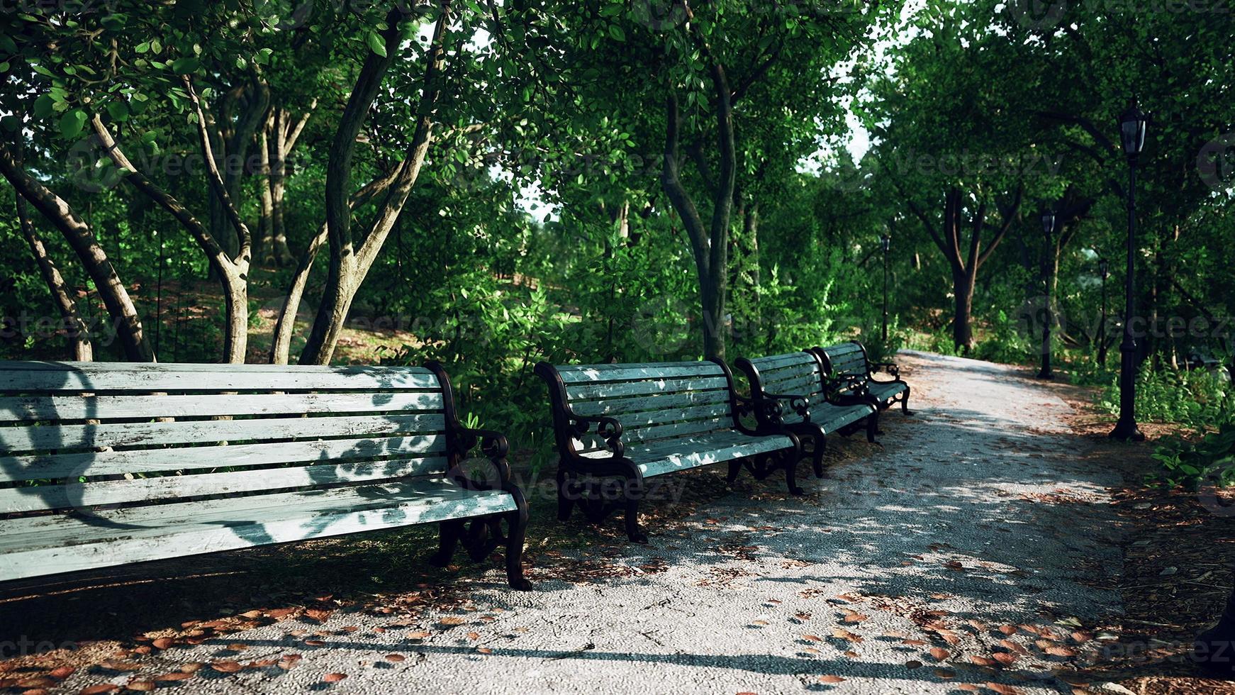 Empty benches in the park during the quarantine due to the pandemic COVID-19 photo