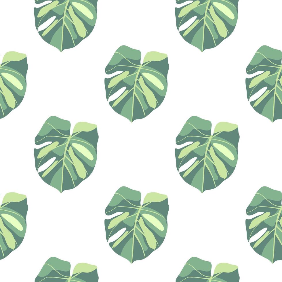 Isolated exotic seamless doodle pattern with green monstera leafs. White background. Simple design. vector