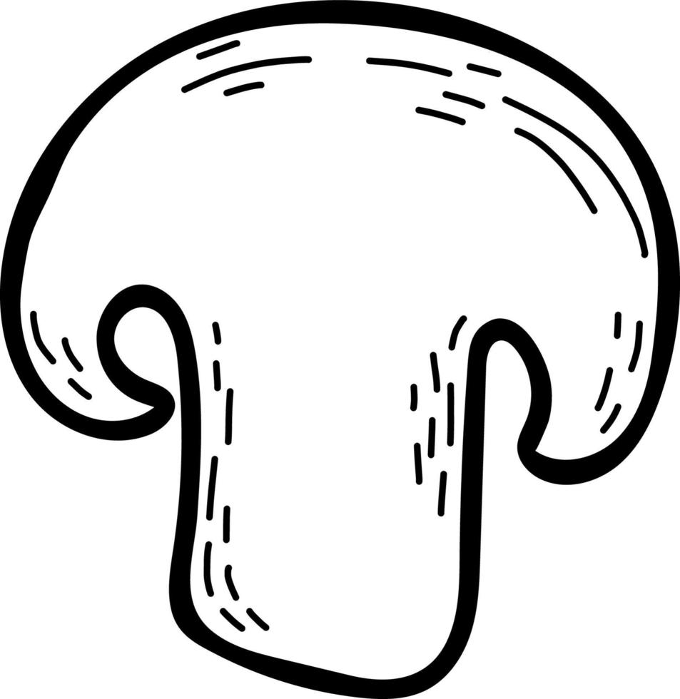 Half champignon mushroom. Vector illustration. Linear hand drawing