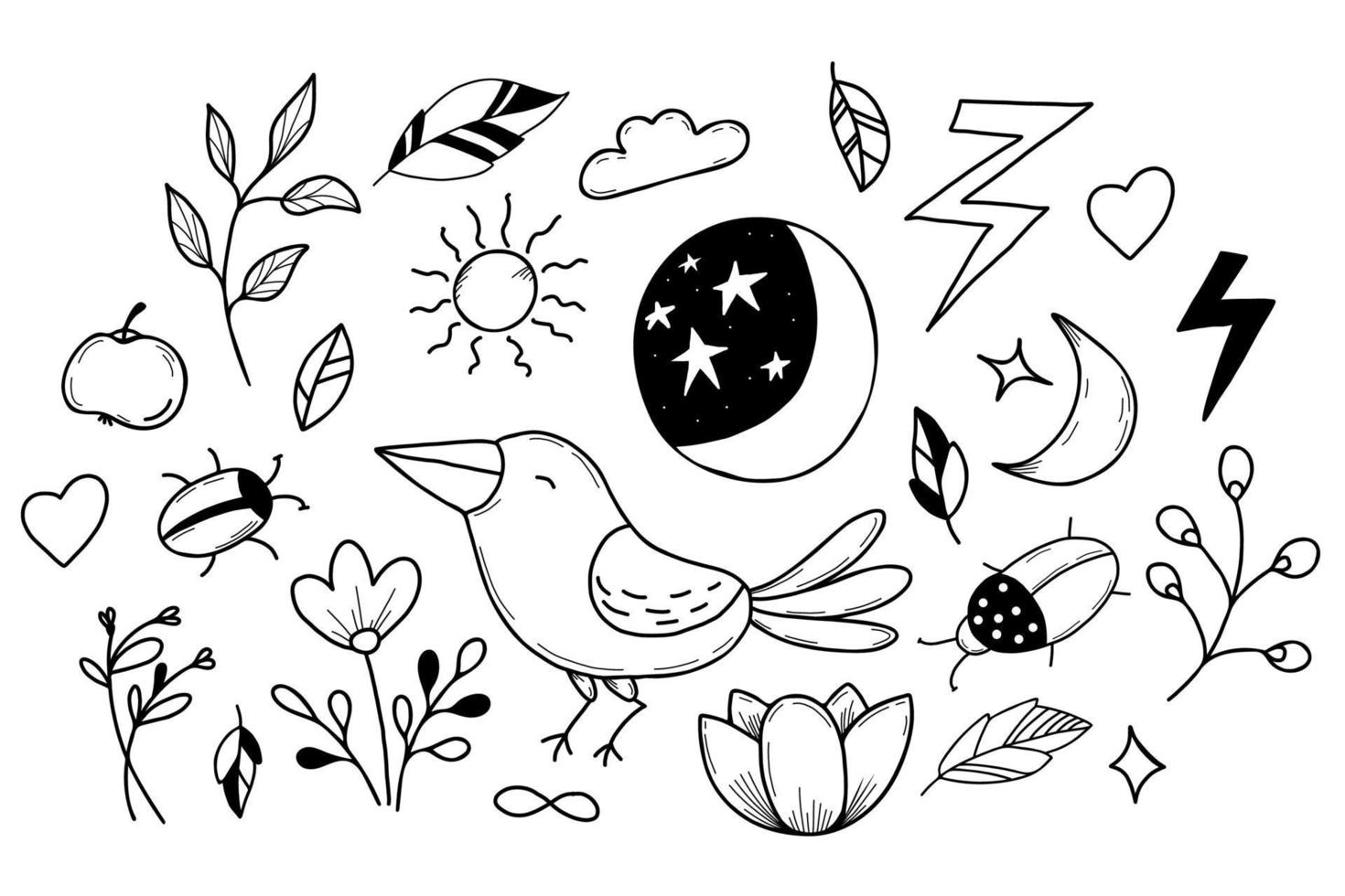 Set of magic signs, beetle and crow, flower and moon with starry sky in handmade linear doodle style. Vector illustration. Isolated elements for design, decor, postcards and print