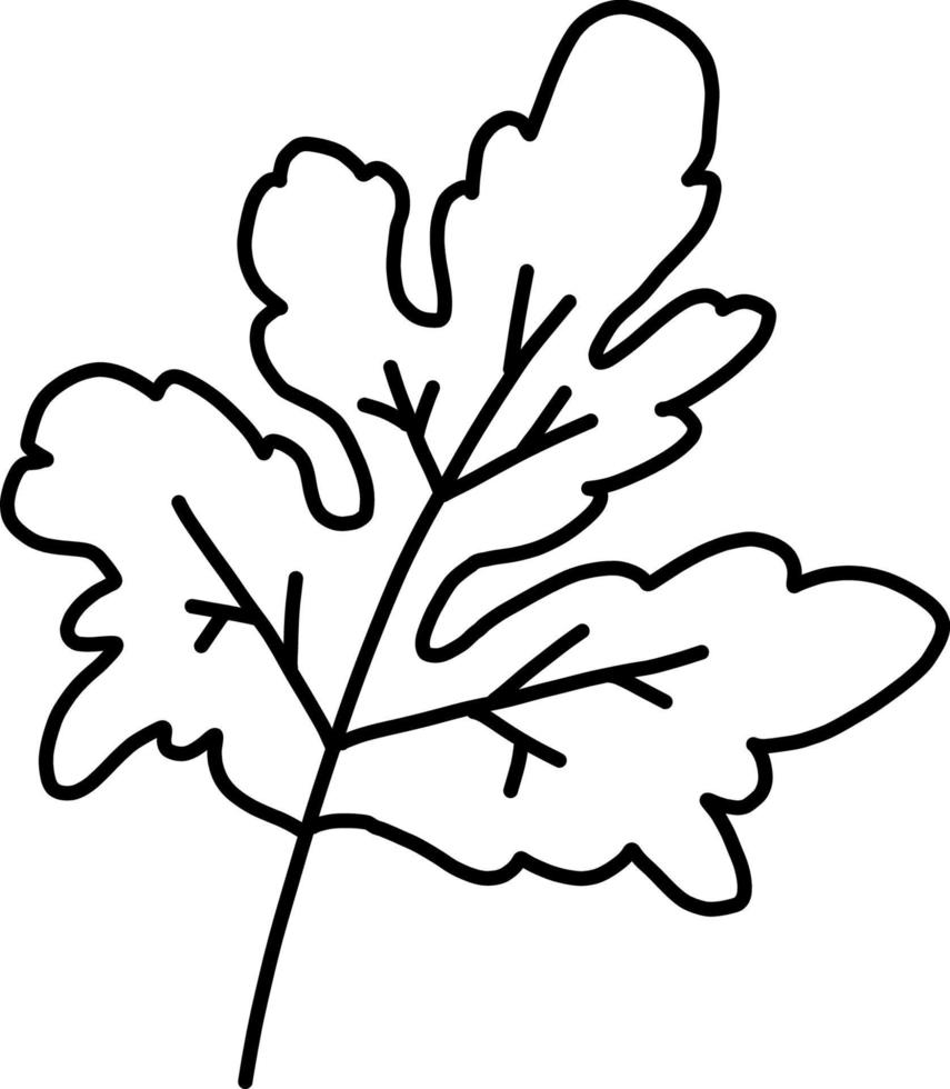 Greenery. Plant. Vector illustration. Linear hand drawing