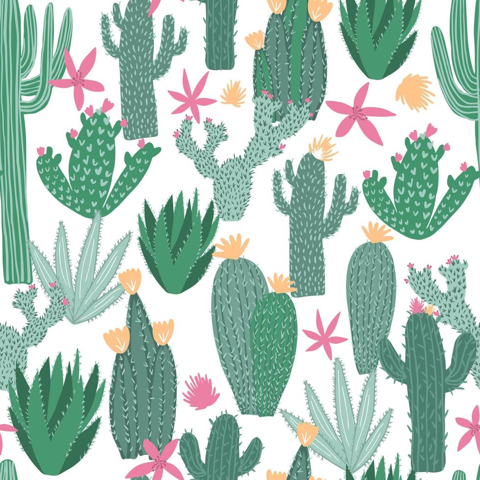 Cactus seamless pattern on white background. Doodle exotic wallpaper. vector