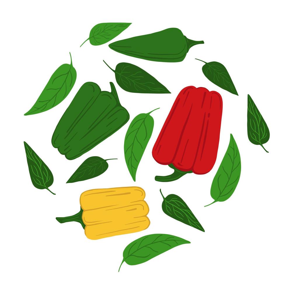 pimientos y hojas sobre un fondo blanco. dibujo vegetal a mano. v vector