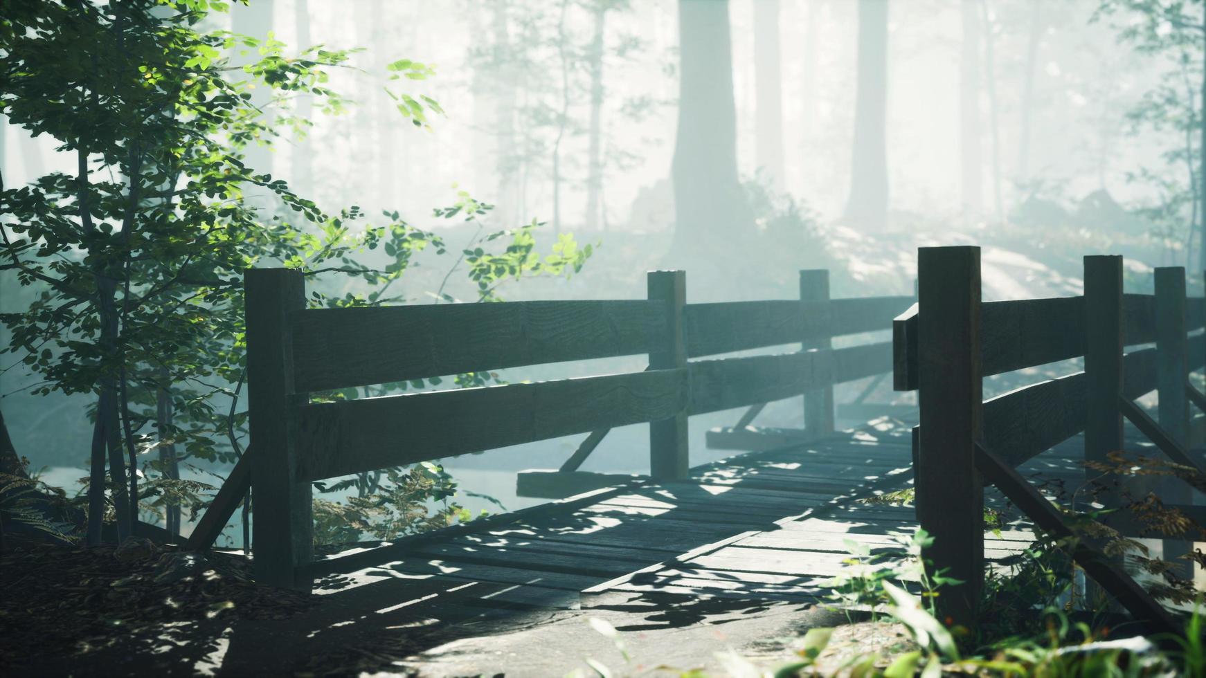 wooden bridge into forest with river photo