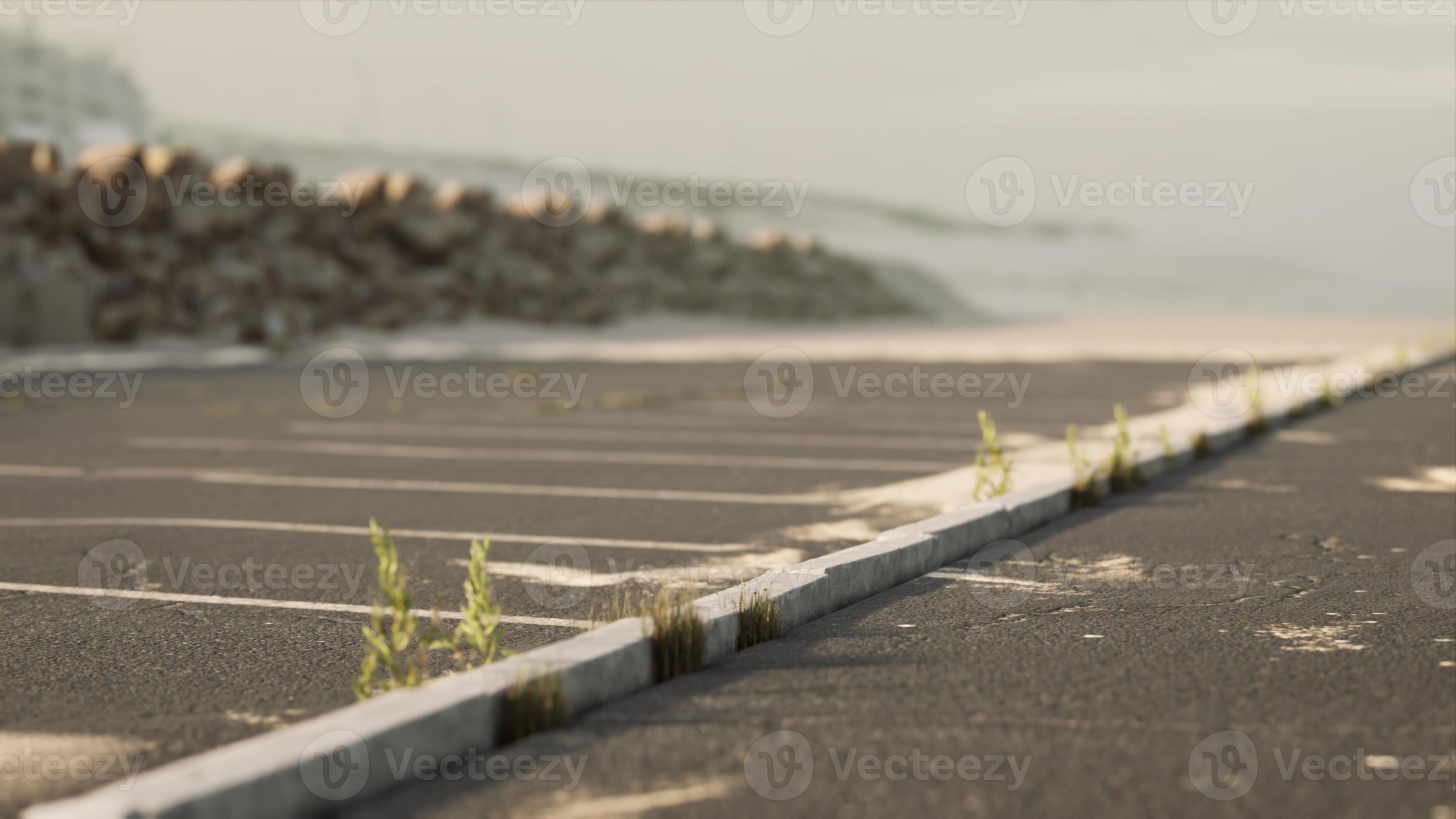 car parking on the beach in California 5593879 Stock Photo at Vecteezy