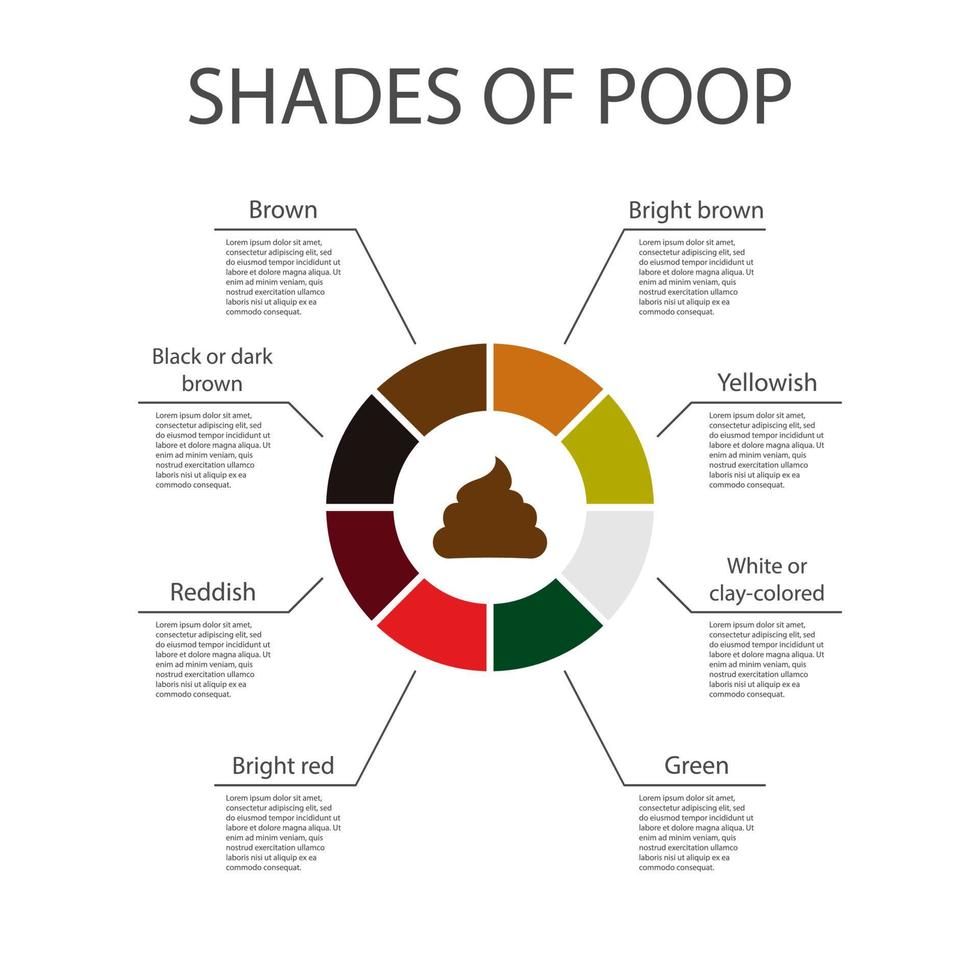 Shades of color poop chart. Poop icon. Human feces color. Healthy concept. Vector