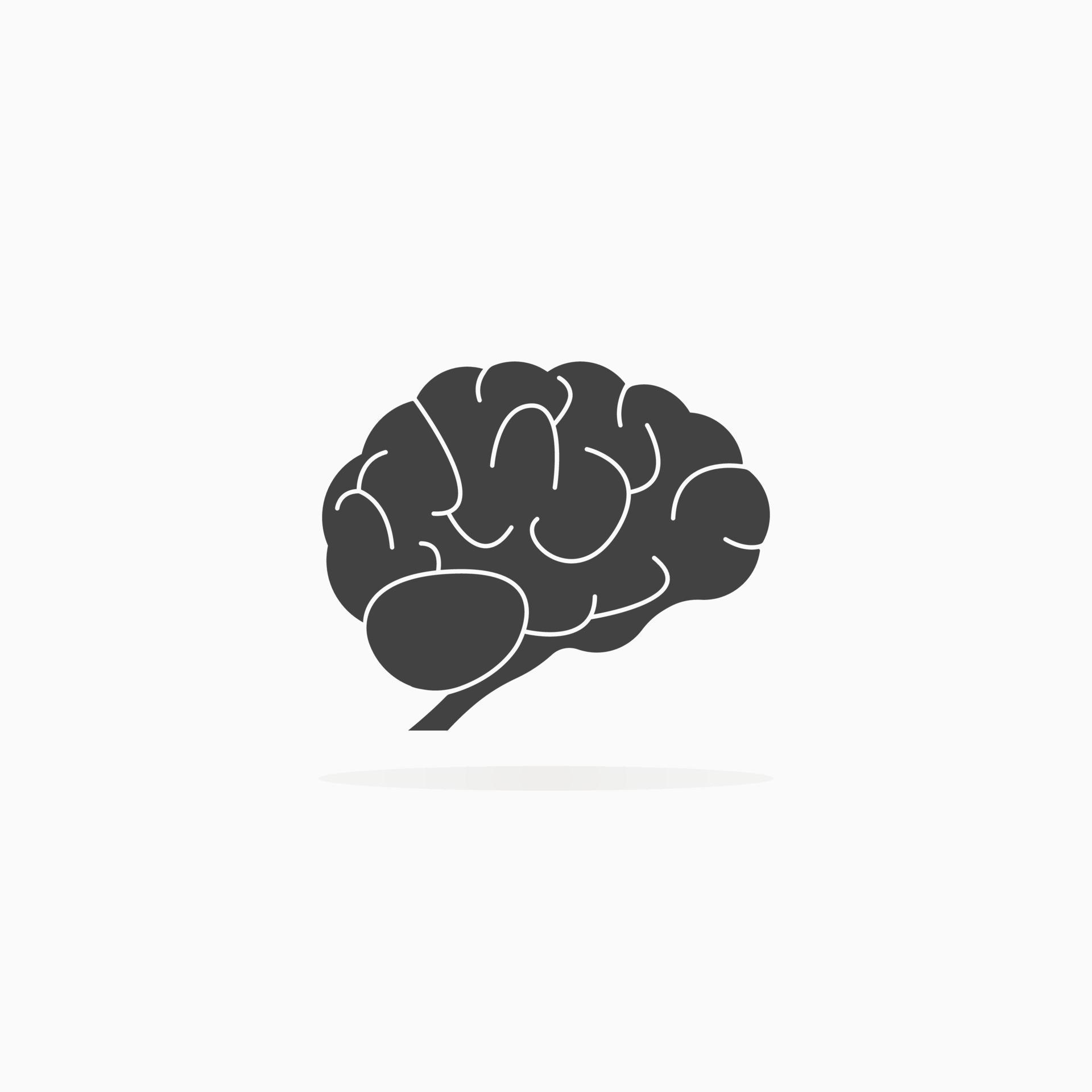 Human brain icon. Shadow and white background vector isolated 5594040