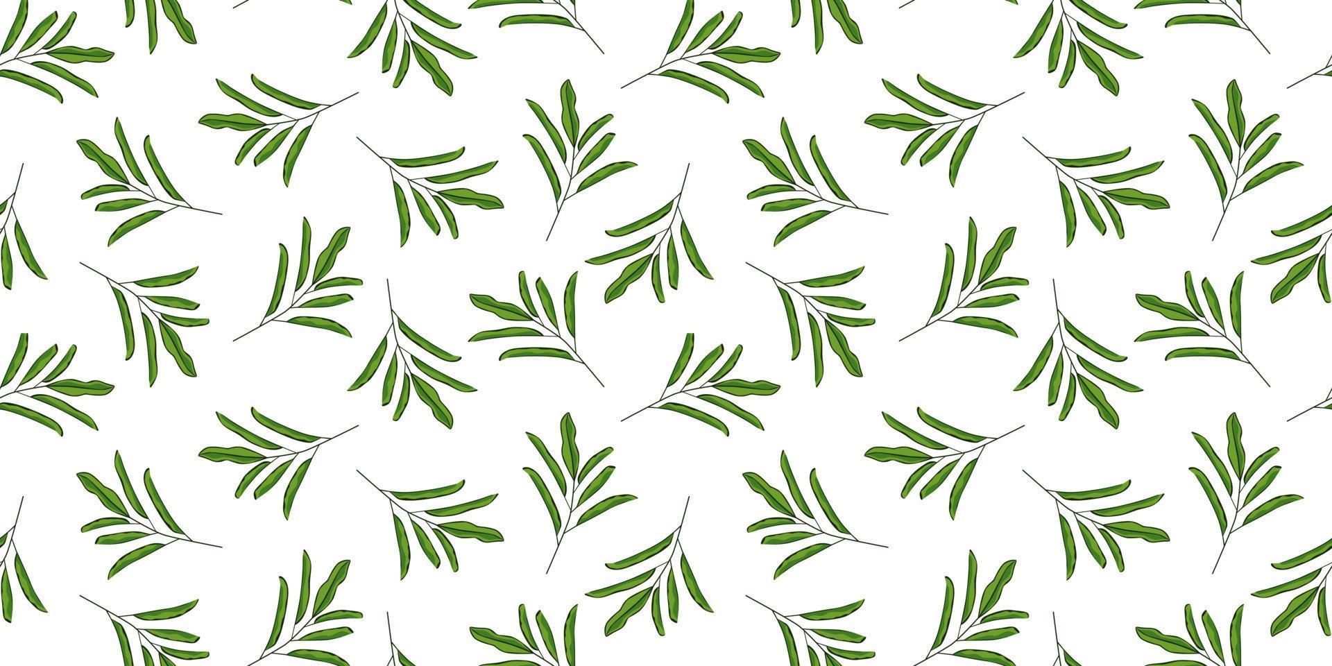 Green jungle leaves seamless pattern. Tropical wallpaper, organic branch seamless. vector
