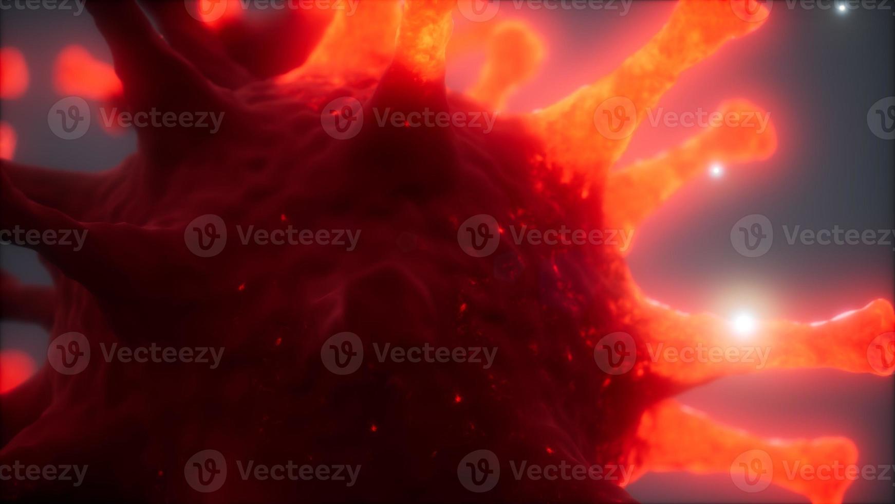 Bacteria virus or germs microorganism cells under microscope with depth photo