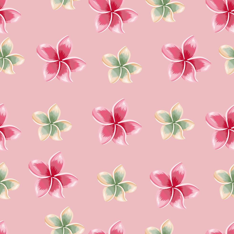 Exotic blooming plumeria seamless pattern on pink background. vector