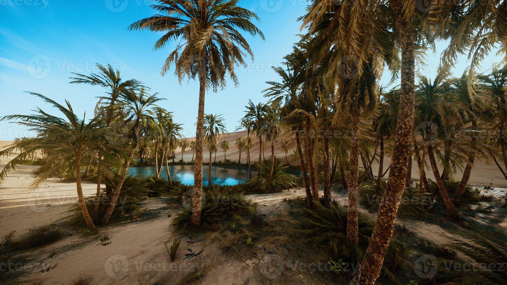 oasis with palm trees in desert photo