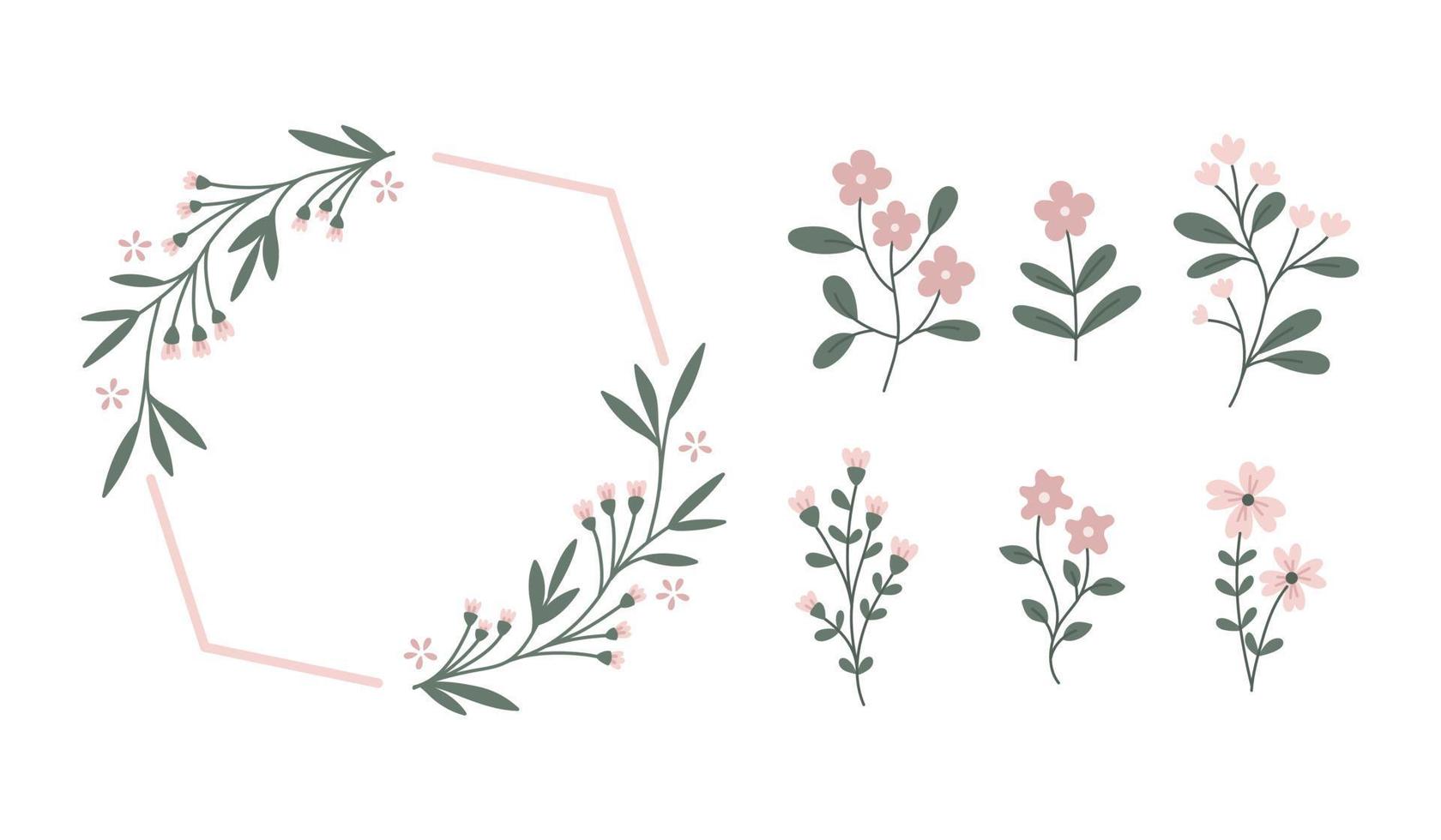 Botanical vector flower and frame flat illustration