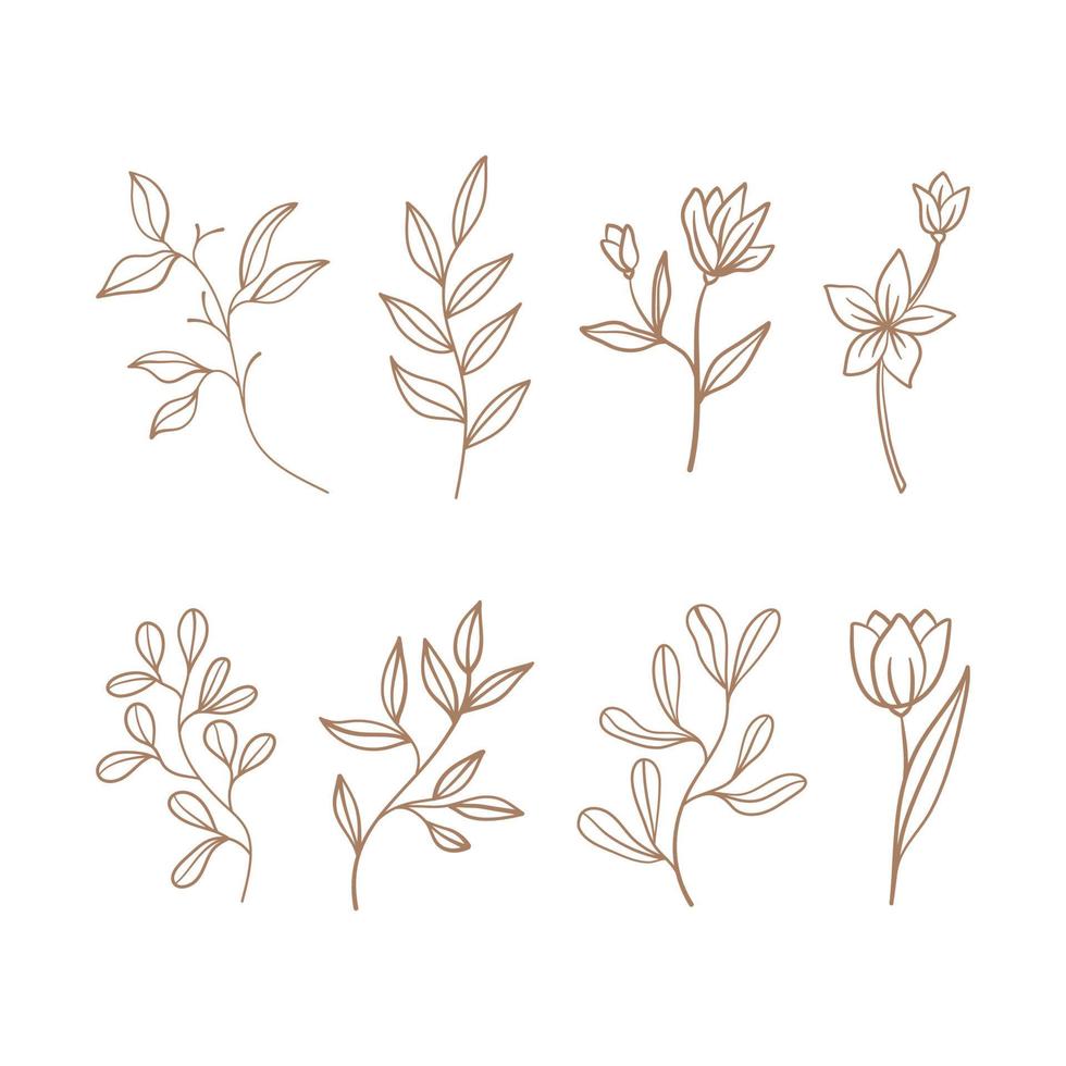 Collection of line leaves and flower vector