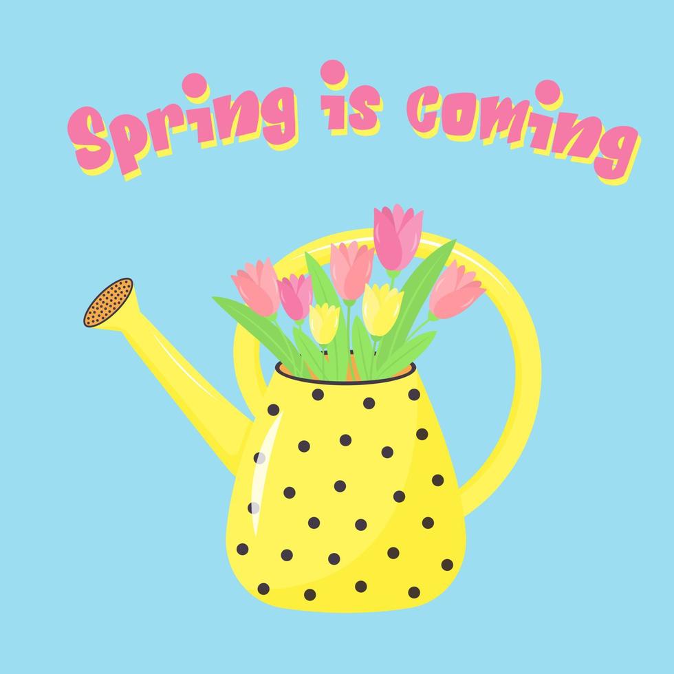 Watering can with bouquet of tulips. Spring is coming text. Springtime garden decoration. vector