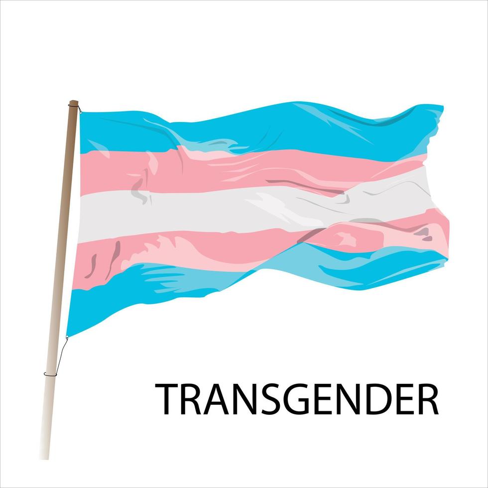 A transgender flag being waved vector