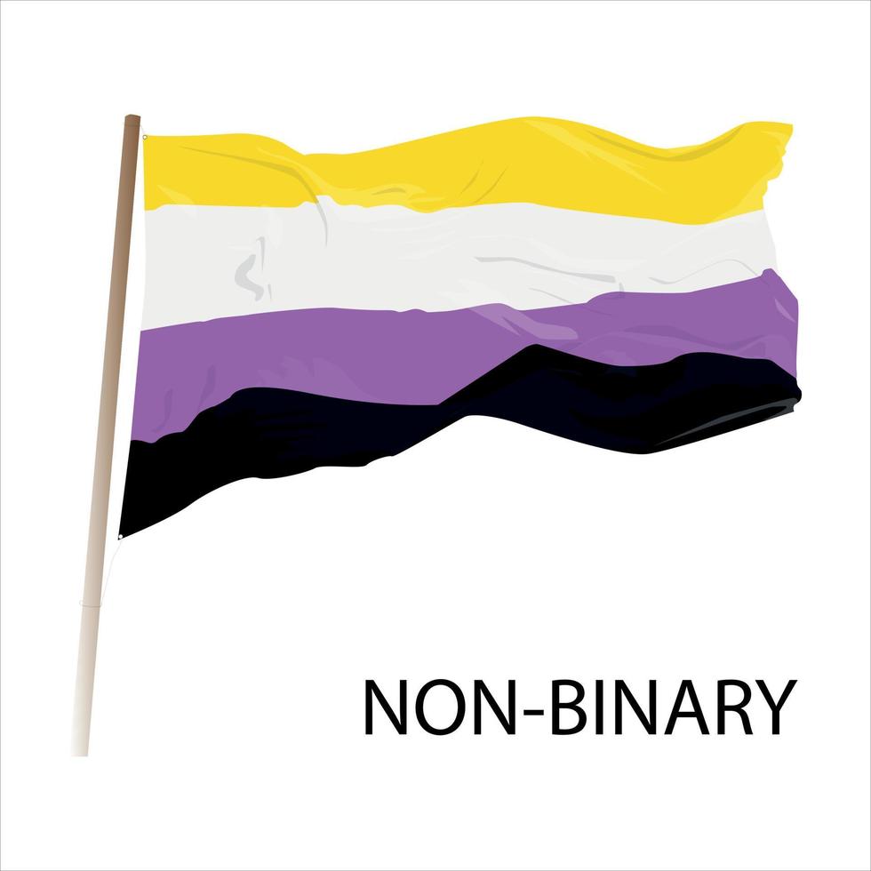 Non-binary flag on white background vector