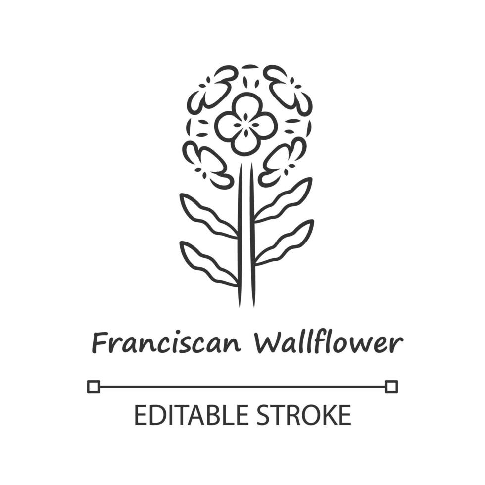 Franciscan wallflower linear icon. Garden flowering plant with name inscription. Erysimum franciscanum inflorescence. Thin line illustration. Contour symbol. Vector isolated drawing. Editable stroke