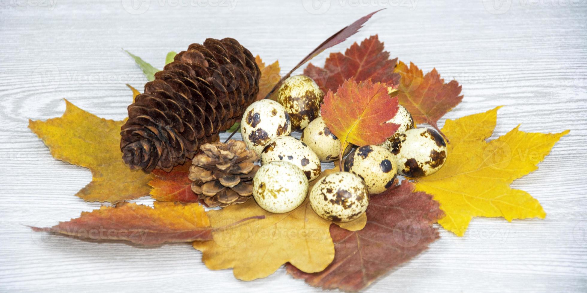 Easter card with eggs, leaves and cones. Spring composition on a light background. photo