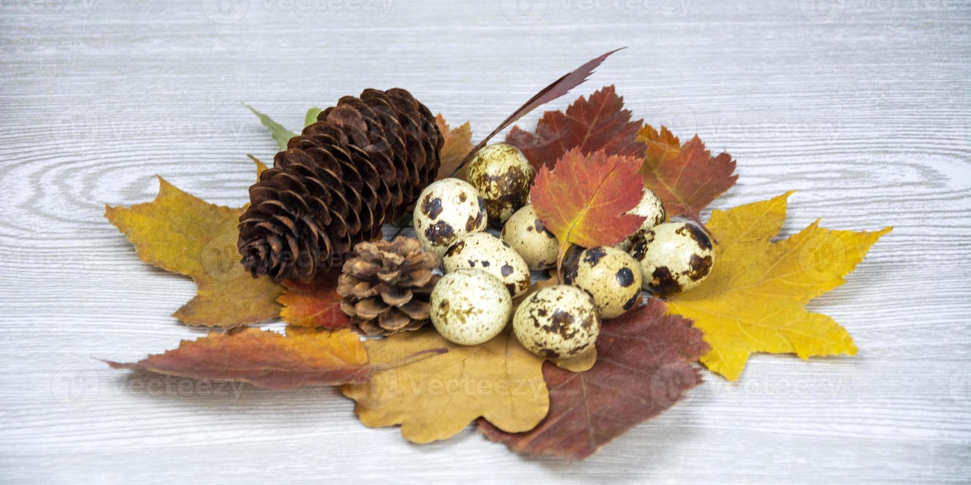 Quail eggs, leaves and cones in autumn leaves on a light wooden background. Postcard Happy Easter. Spring composition. photo