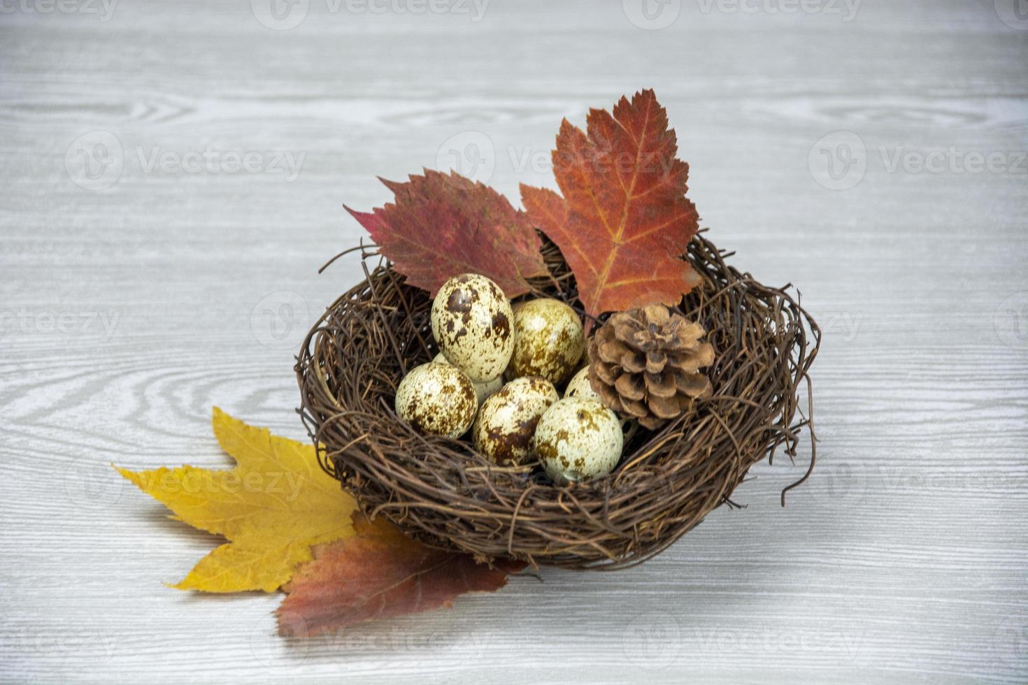 Easter eggs, leaves in a nest on a light wooden background. Spring composition. Postcard Happy Easter. photo