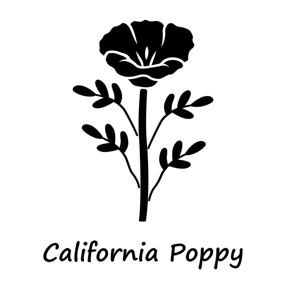 California poppy glyph icon. Papaver rhoeas with name inscription. Corn rose blooming wildflower. Herbaceous plants. Field common poppy. Silhouette symbol. Negative space. Vector isolated illustration