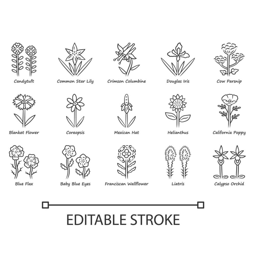 Wild flowers linear icons set. Spring blossom. California wildflowers with names. Garden blooming plants. Botanical bundle. Thin line contour symbols. Isolated vector illustrations. Editable stroke