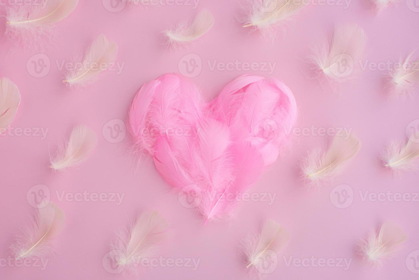 Heart shape made of pink feathers, fuzz, fluff on pink background. Pattern of white feathers. Love photo