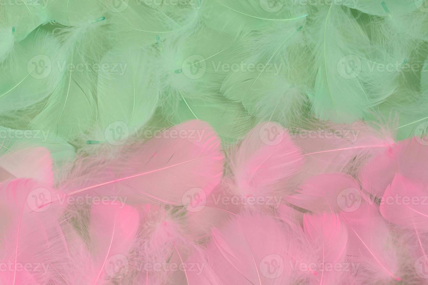 Abstract Beautiful two-tone background of lightweight soft green and pink bird feathers, flat lay photo